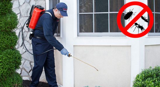 Karamanlı Tahtakurusu İlaçlama böcek ilaçlama ve haşere kontrolü — ilaclama-tr.com